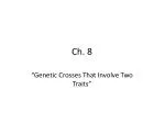 Ch. 8 - slide 1