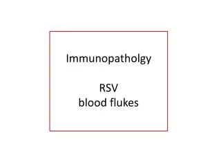 Immunopatholgy RSV blood flukes