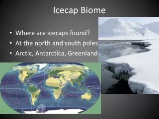 Icecap Biome