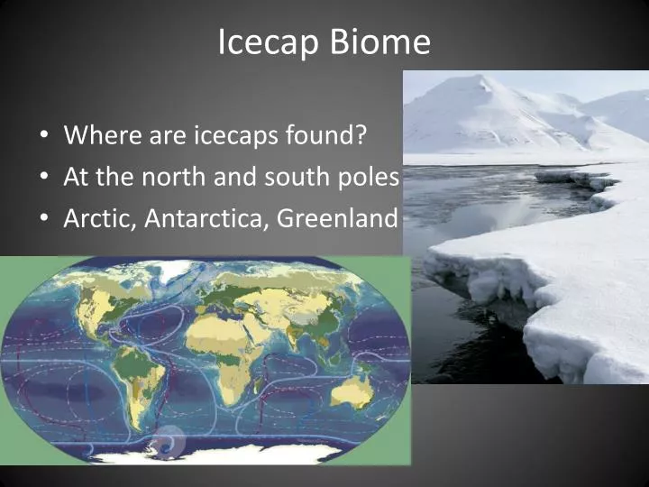 icecap biome