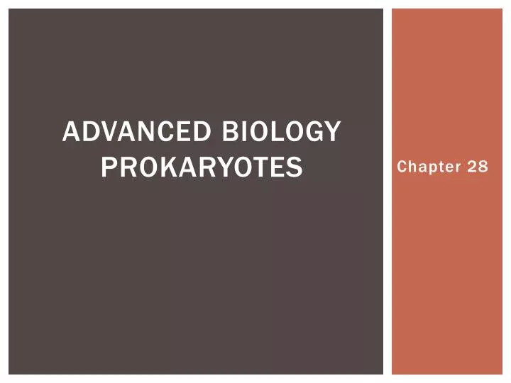 advanced biology prokaryotes