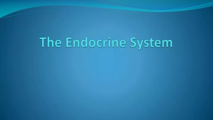 the endocrine system