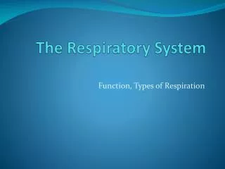 the respiratory system