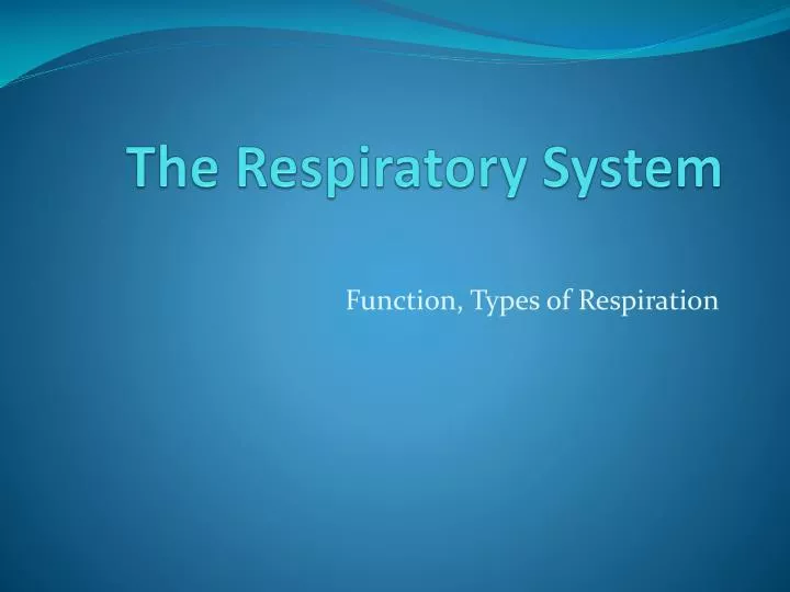 the respiratory system