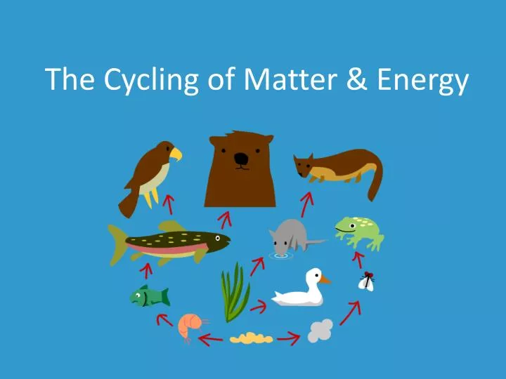 the cycling of matter energy