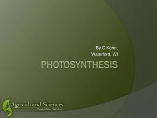 Photosynthesis