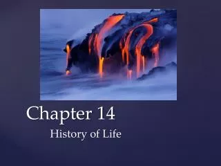 Chapter 14