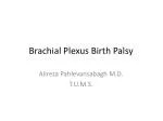 Brachial Plexus Birth Palsy - slide 1