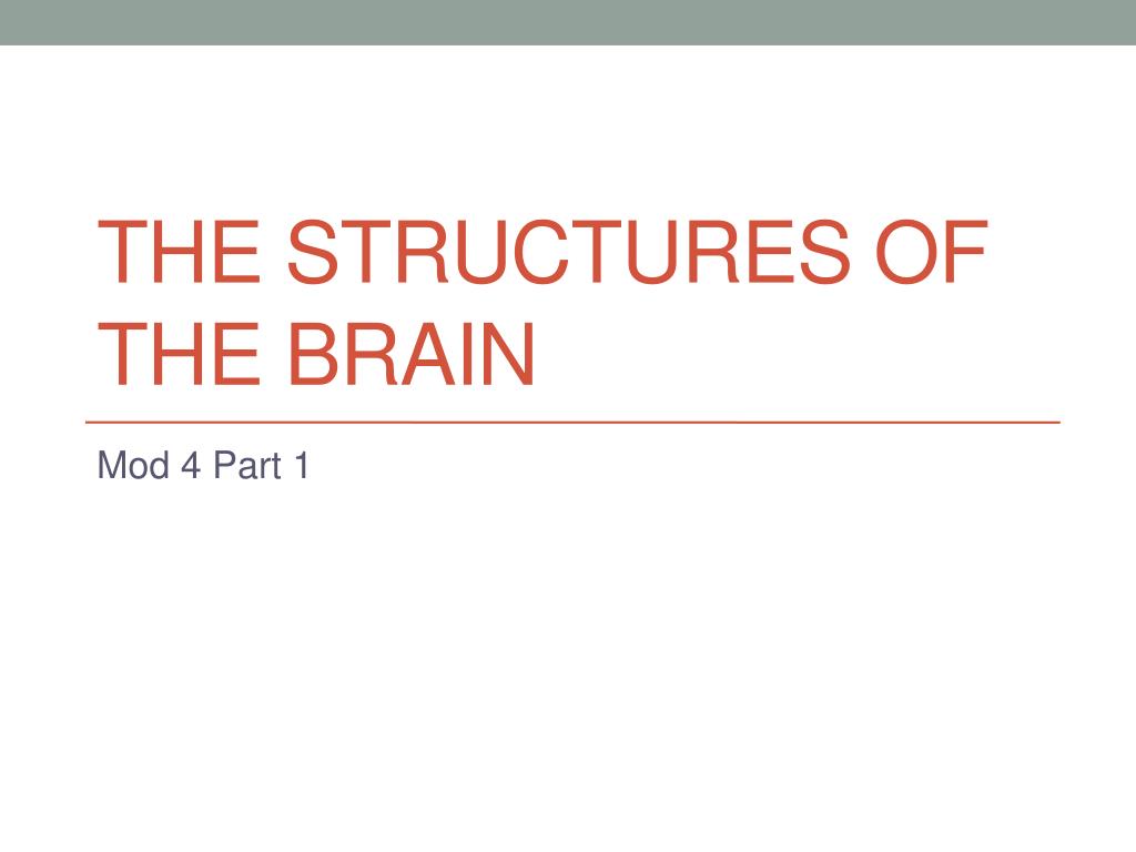 PPT - The Structures of the Brain PowerPoint Presentation, free ...