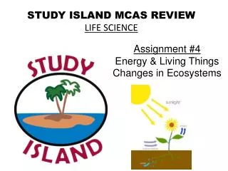 STUDY ISLAND MCAS REVIEW LIFE SCIENCE