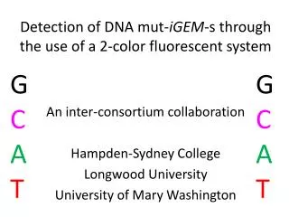Detection of DNA mut - iGEM -s through the use of a 2-color fluorescent system