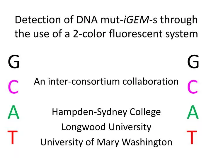 detection of dna mut igem s through the use of a 2 color fluorescent system