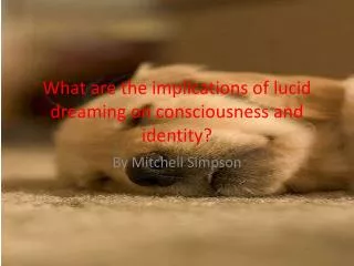 What are the implications of lucid dreaming on consciousness and identity?