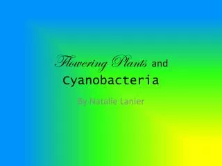 flowering plants and cyanobacteria