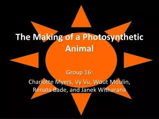 The Making of a Photosynthetic Animal