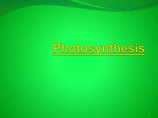 Photosynthesis