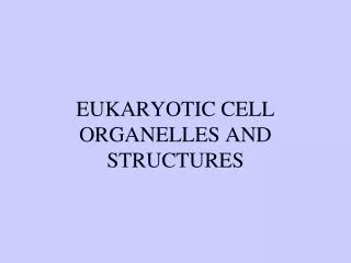 EUKARYOTIC CELL ORGANELLES AND STRUCTURES