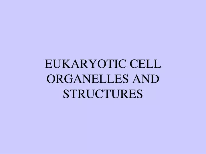 eukaryotic cell organelles and structures