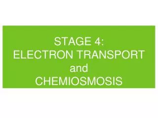 STAGE 4: ELECTRON TRANSPORT and CHEMIOSMOSIS