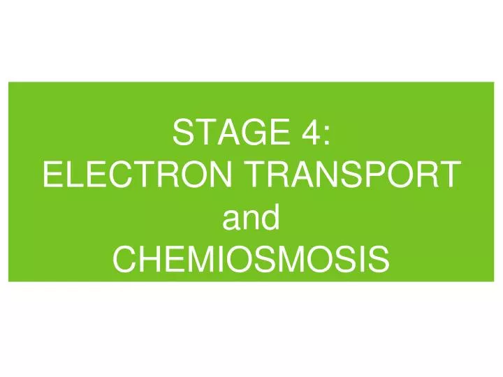 stage 4 electron transport and chemiosmosis