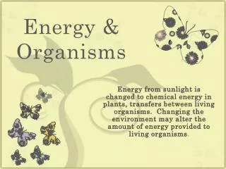 Energy &amp; Organisms