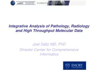 Integrative Analysis of Pathology, Radiology and High Throughput Molecular Data