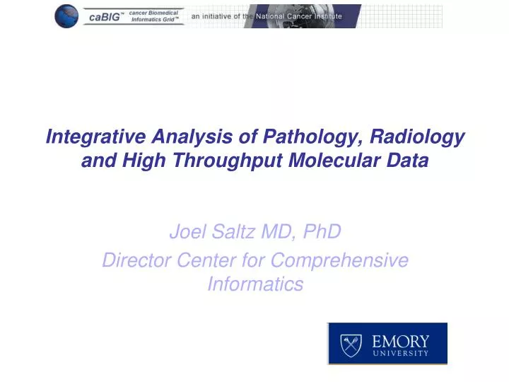 integrative analysis of pathology radiology and high throughput molecular data