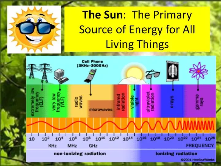 the sun the primary source of energy for all living things