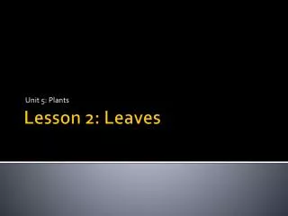 Lesson 2: Leaves