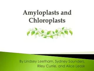 Amyloplasts and Chloroplasts