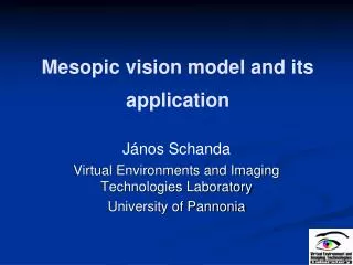 Mesopic vision model and its application