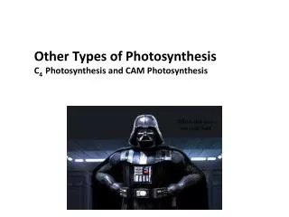 Other Types of Photosynthesis C 4 Photosynthesis and CAM Photosynthesis