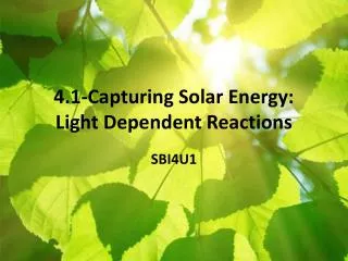4.1-Capturing Solar Energy: Light Dependent Reactions