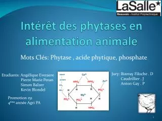 int r t des phytases en alimentation animale