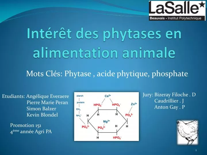 int r t des phytases en alimentation animale