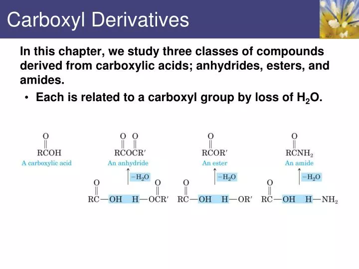 carboxyl derivatives