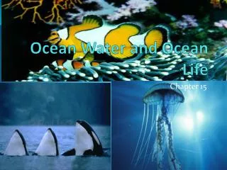 Ocean Water and Ocean Life