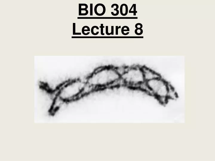 bio 304 lecture 8