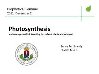 Photosynthesis and some generally interesting facts about plants and whatnot