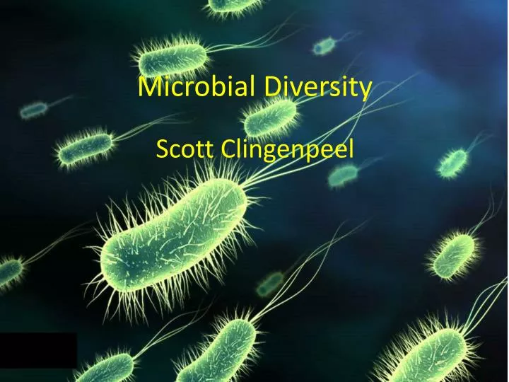 microbial diversity