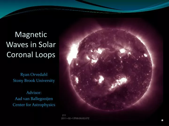 magnetic waves in solar coronal loops