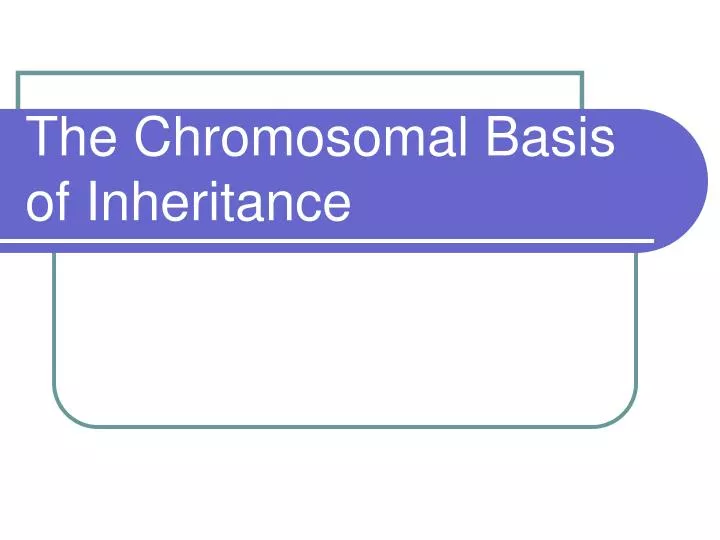 the chromosomal basis of inheritance