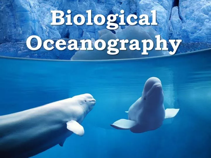 biological oceanography