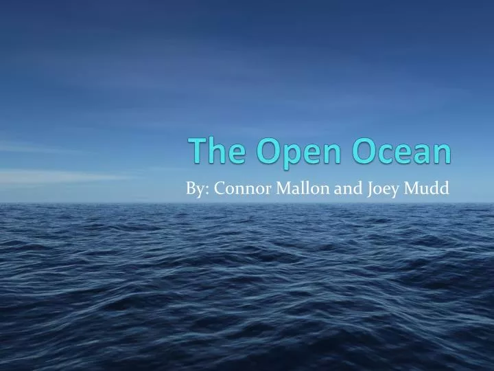 the open ocean
