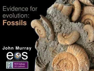 Evidence for evolution: Fossils