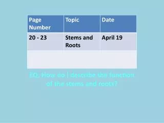 eq how do i describe the function of the stems and roots