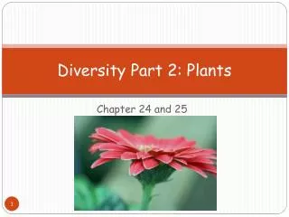 Diversity Part 2: Plants
