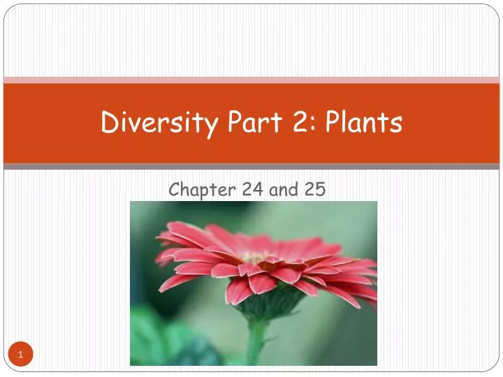 diversity part 2 plants