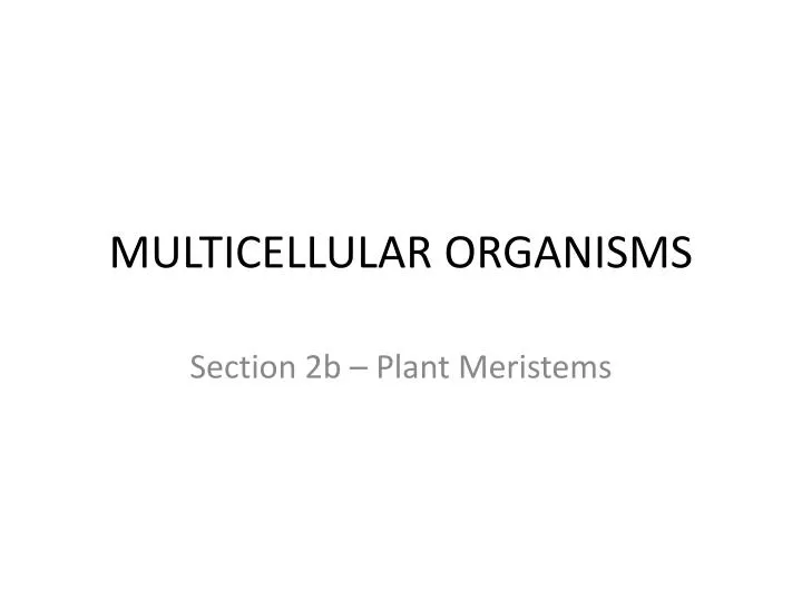 multicellular organisms