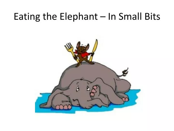 eating the elephant in small bits